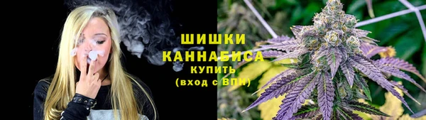 сатива Балахна