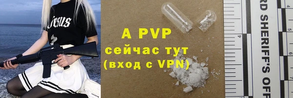 сатива Балахна