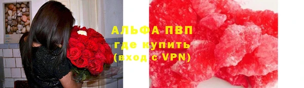 сатива Балахна