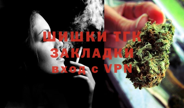 сатива Балахна