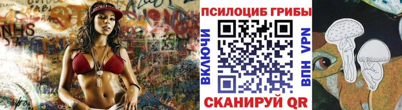 Купить закладки  Азов  Псилоцибиновые грибы Cubensis 